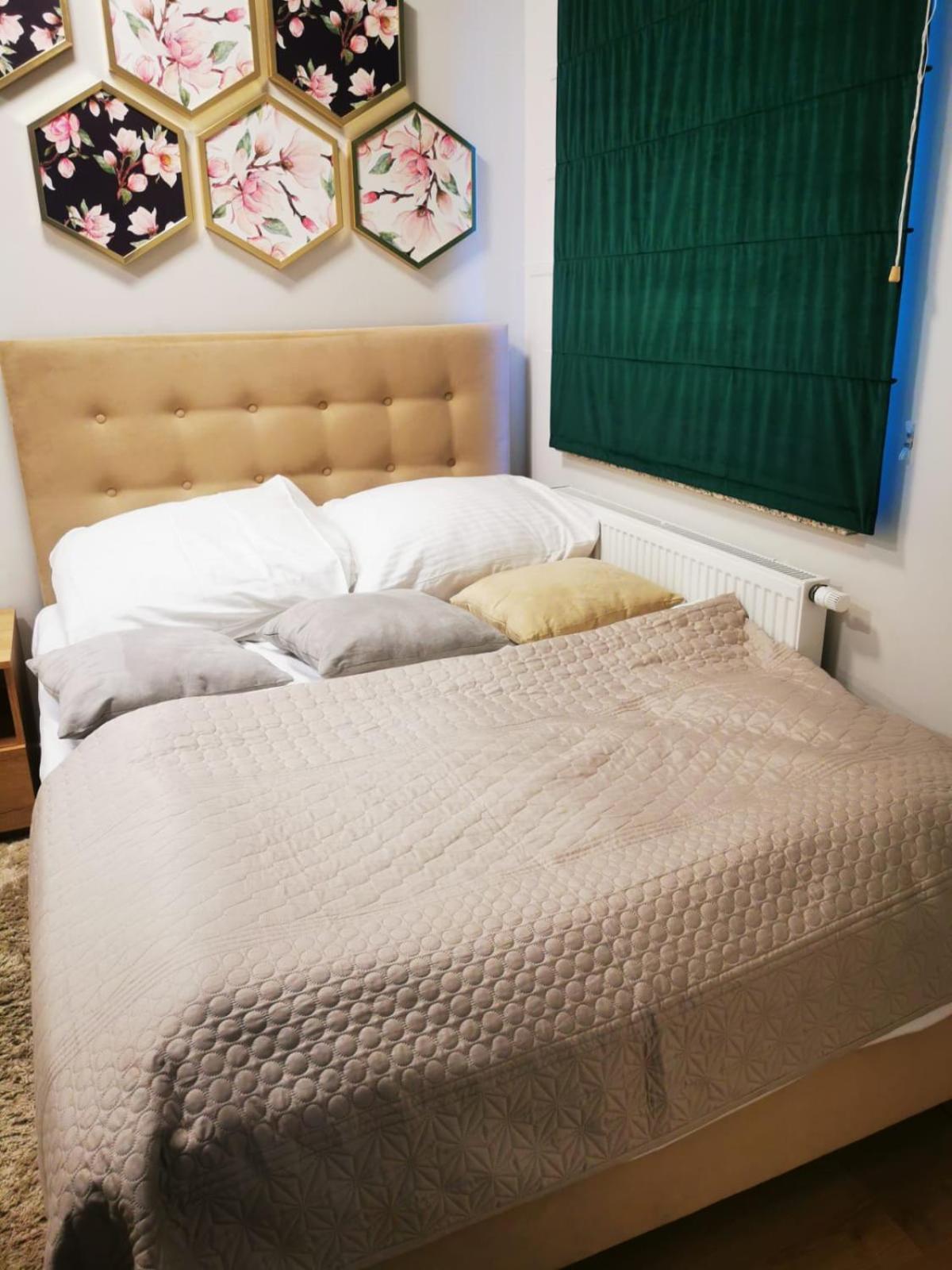 Apartment Paula ชวีโนวิชแจ ภายนอก รูปภาพ